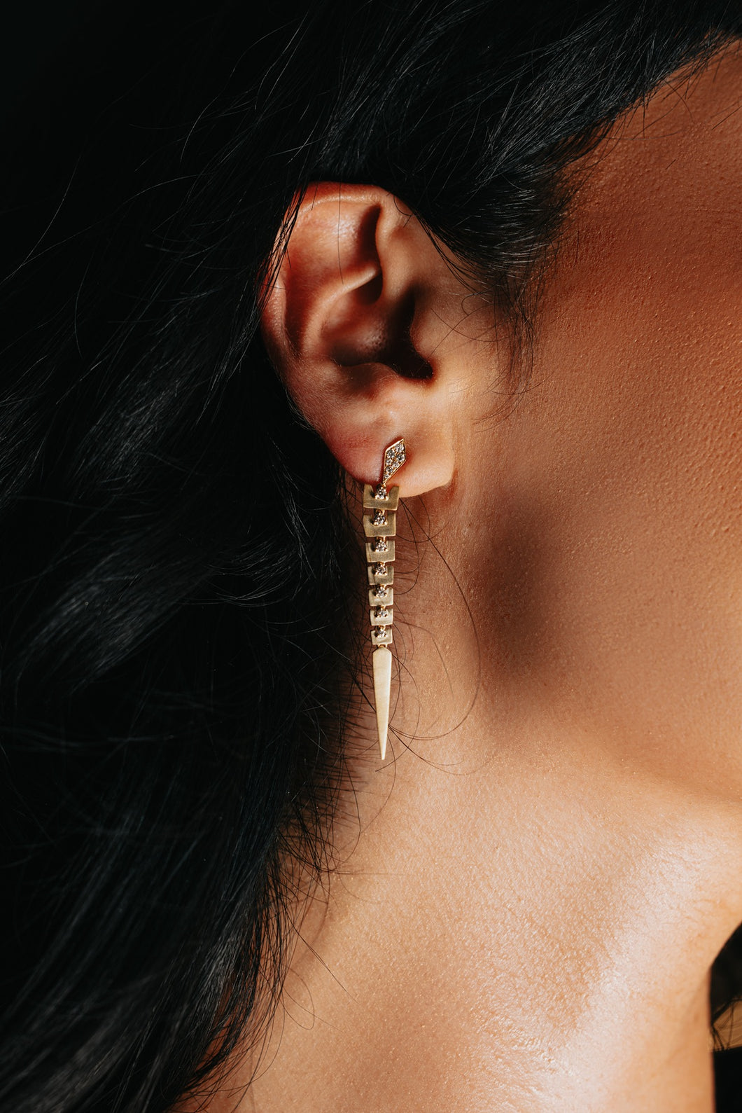 Exquisite Diamond Earrings
